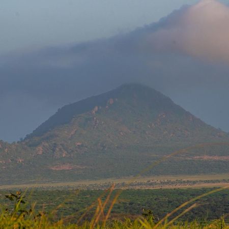Voi Safari Lodge Exteriér fotografie