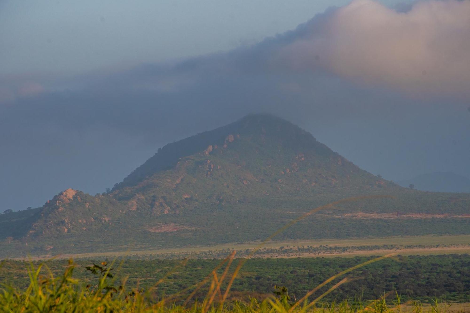 Voi Safari Lodge Exteriér fotografie