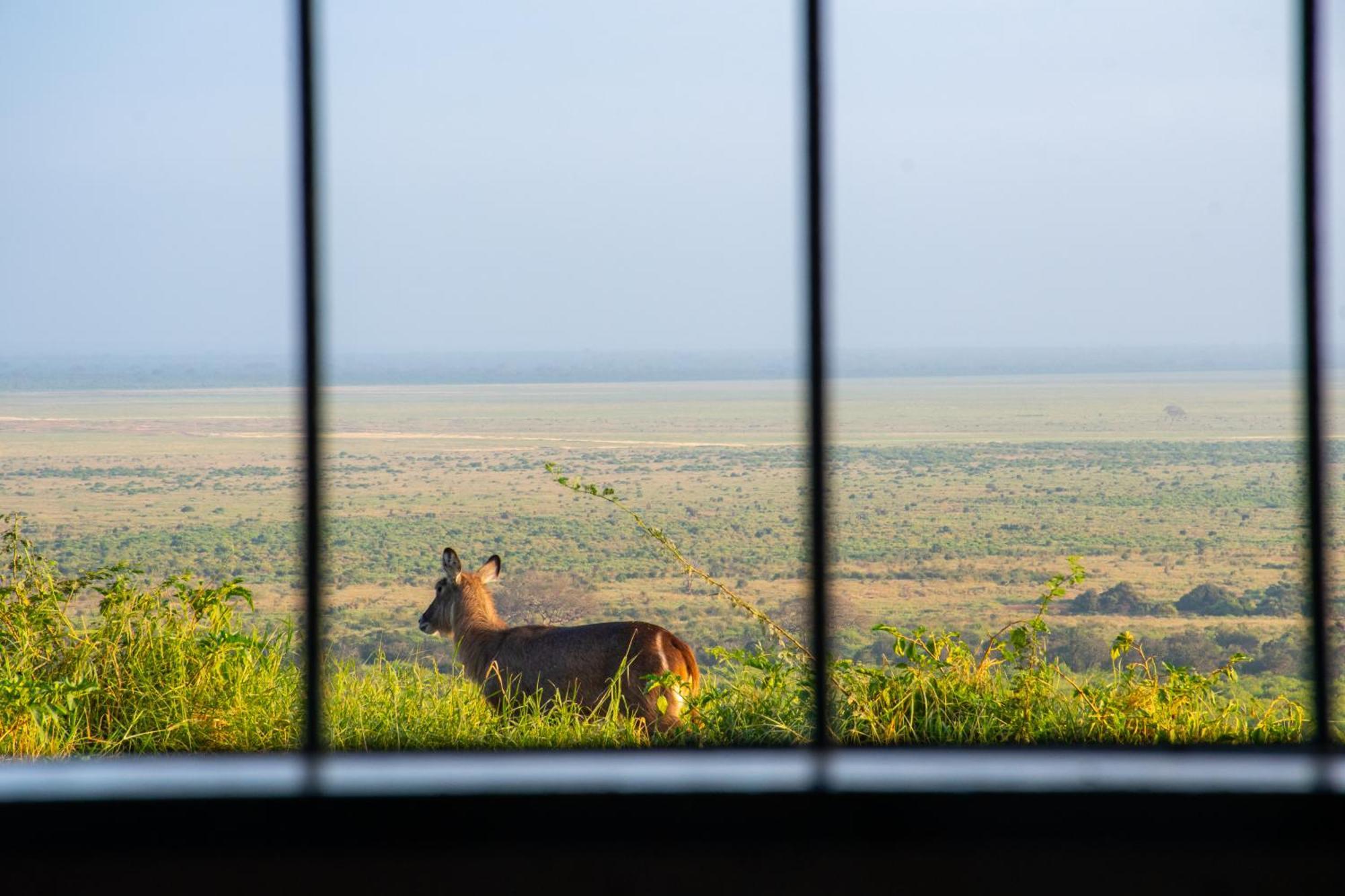 Voi Safari Lodge Exteriér fotografie