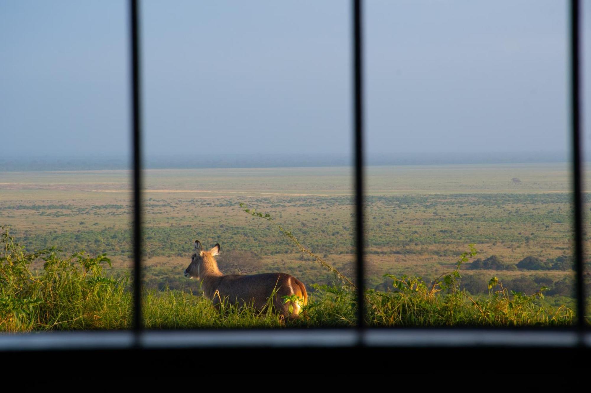 Voi Safari Lodge Exteriér fotografie