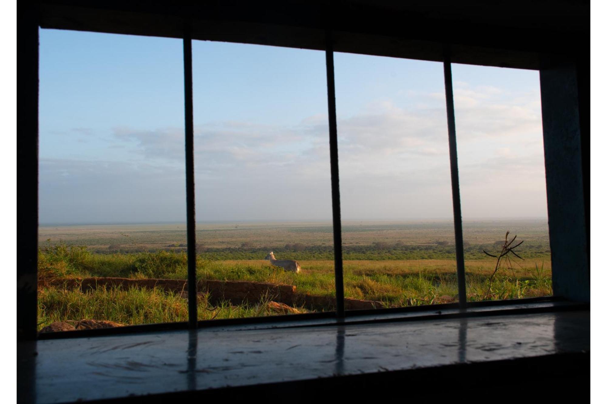 Voi Safari Lodge Exteriér fotografie